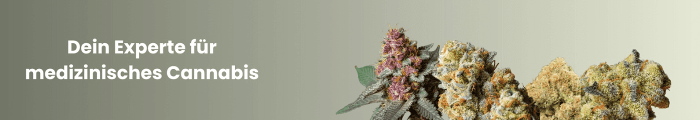 Schriftzug: Dein Experte für medizinisches Cannabis